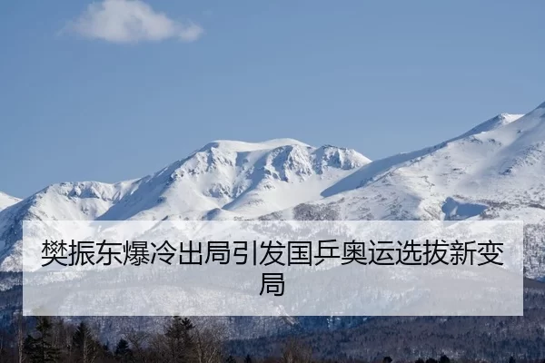 樊振东爆冷出局引发国乒奥运选拔新变局
